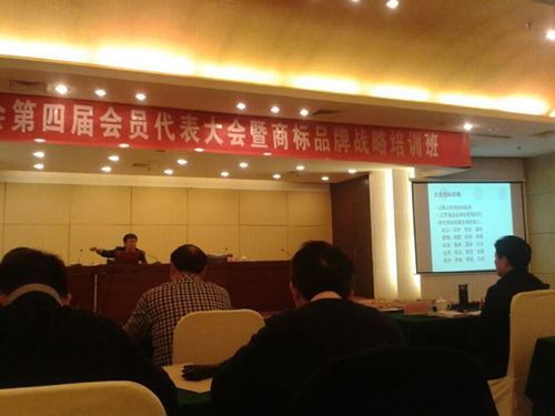 星光積極參加泰州市商標協(xié)會第四屆會員代表大會1